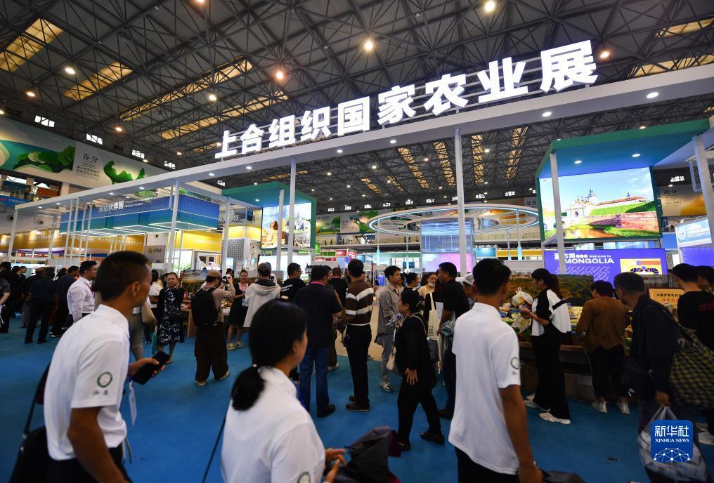 ag金拉霸800倍游戏论坛